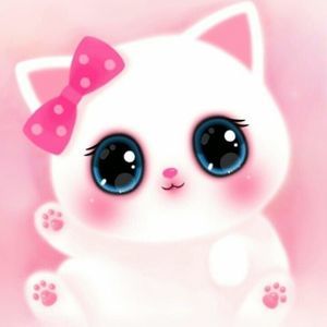 Meet your Posher, Alisa